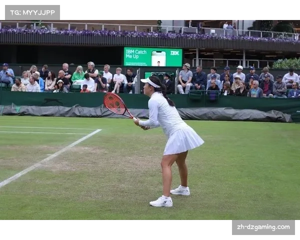 2026温网拟扩大AI应用,“Catch Me Up”故事卡片将覆盖资格赛球员